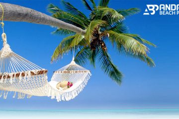 Tour Operators for Andaman
