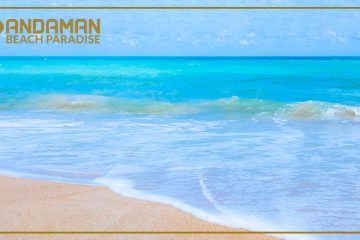 Andaman Tour Operator