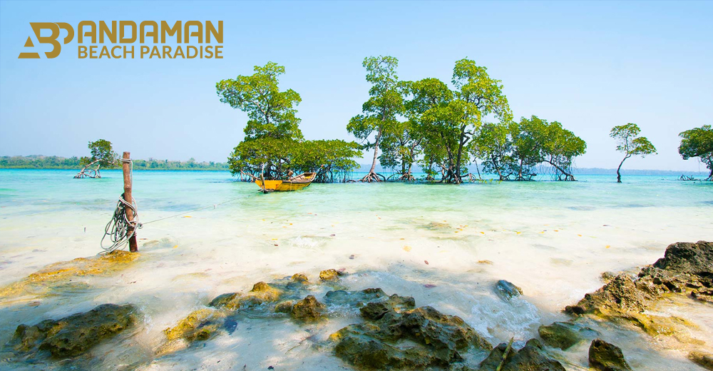 Andaman Beach Paradise